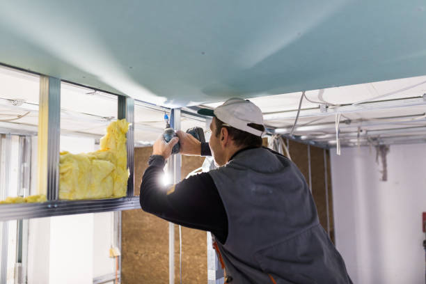 Best Insulation Maintenance and Repair in Spring Glen, UT